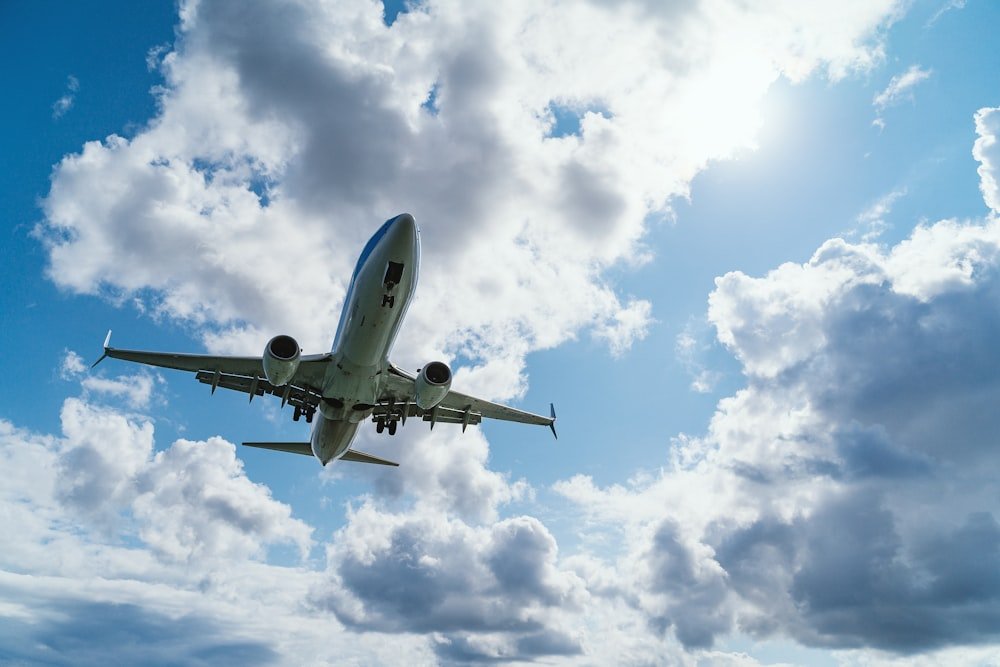 Express Air Freight & Charters